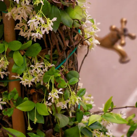 Отель Cas'e Charming House